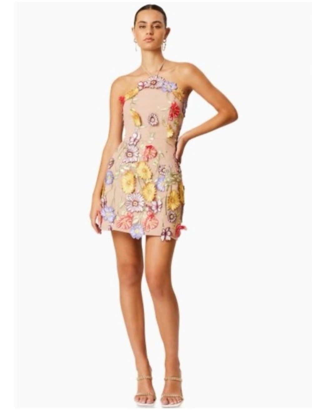 Elliatt 3D floral appliqué Embroidered halter Dress
